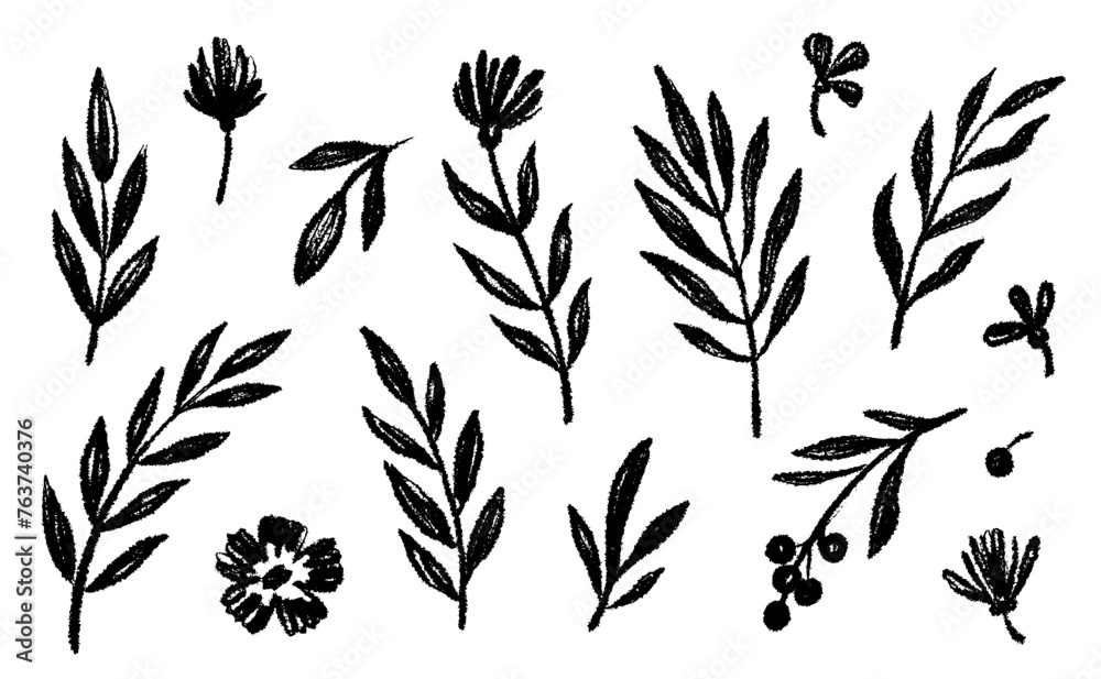 Leaf brush hand drawn ink elements. Black crayon texture brush abstract olive, flower, leaf abstract hand drawn illustration. Brush branch, botanical floral silhouette vector illustration - obrazy, fototapety, plakaty 