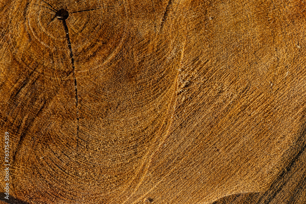 Fototapeta premium old wood background close up
