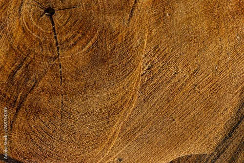 old wood background close up 