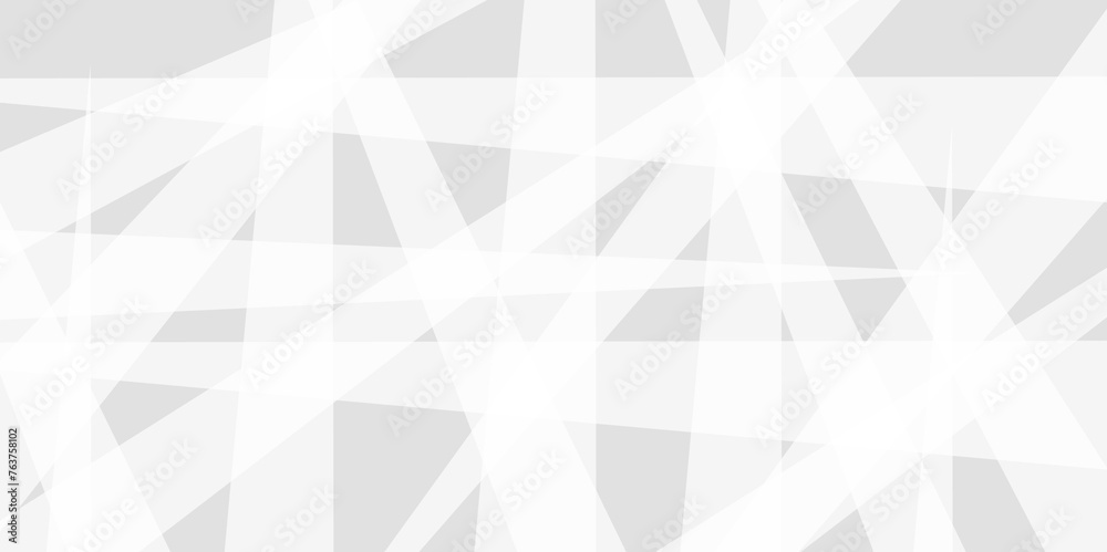 Fototapeta premium Abstract background with white and gray geometric style simple lines and corners. White background design with layers of textured white transparent material in triangle polygon technology concept.