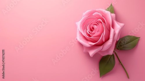 Happy mothers day pink backgound with pink rose but without text