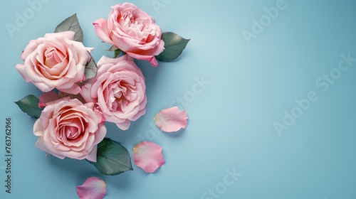 beautiful roses on a light blue background  top view.