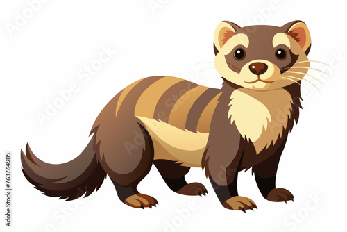 ferret the wild animal vector arts illustration