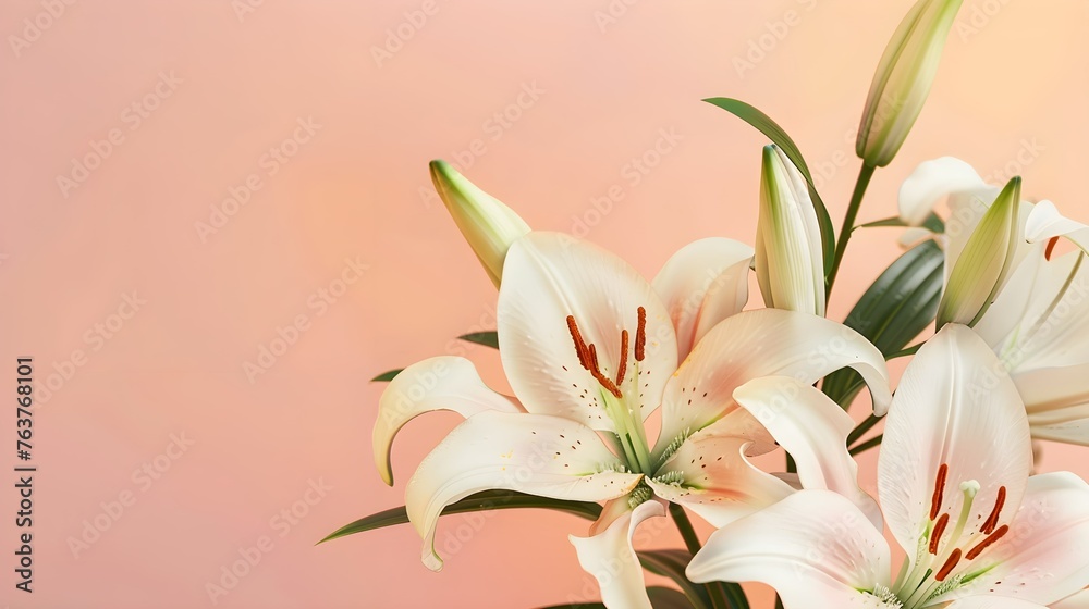 Lilies Flowers spring summer Minimalism Background with empty Copy Space for text - Lilies Backgrounds Series - Lilies background wallpaper texture