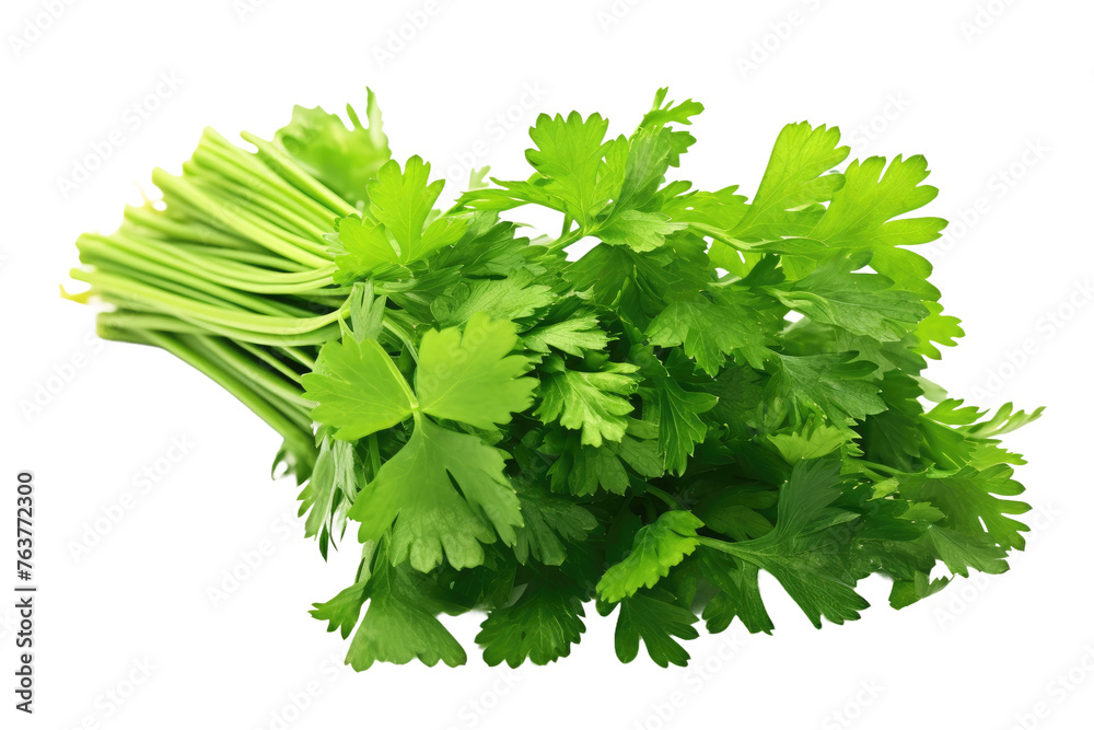 Bunch of Parsley on White Background. On a White or Clear Surface PNG Transparent Background. Bunch of Parsley on White Background. On a White or Clear Surface PNG Transparent Background.