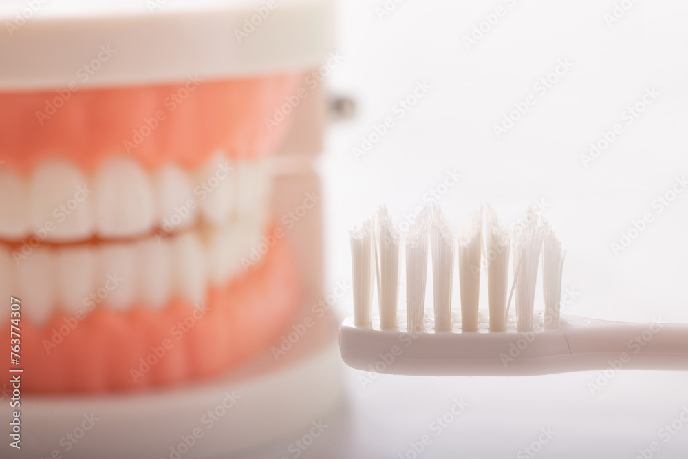 Obraz premium 歯磨き