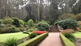 Breenhold Gardens, Mount Wilson, Australia