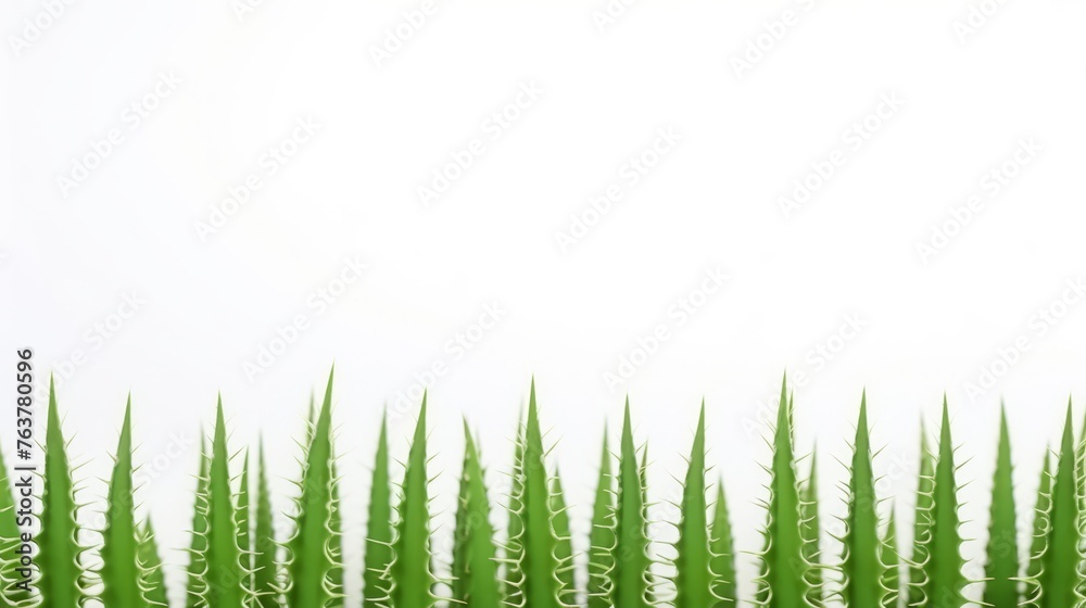 A row of green plants with spiky leaves