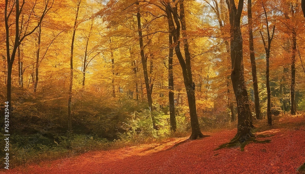 Obraz premium Forest in autumn
