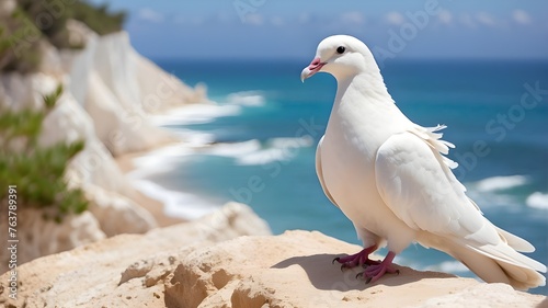 seagull on the beach, A graceful white dove, its feathers ruffled by a gentle breeze, standing on a pristine white cliff overlooking the ocean.