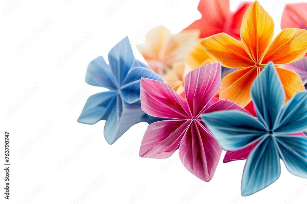 Colorful Flowers Isolated On Transparent Background