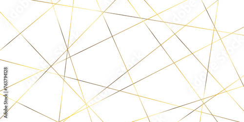 Abstract banner with an asymmetric texture. Geometric art golden random lines.
