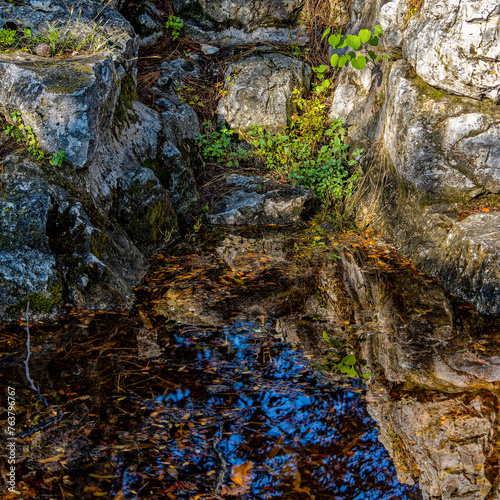 Rocks are reflected on the calm surface of a small pond. A peaceful, refreshing moment in the forest.