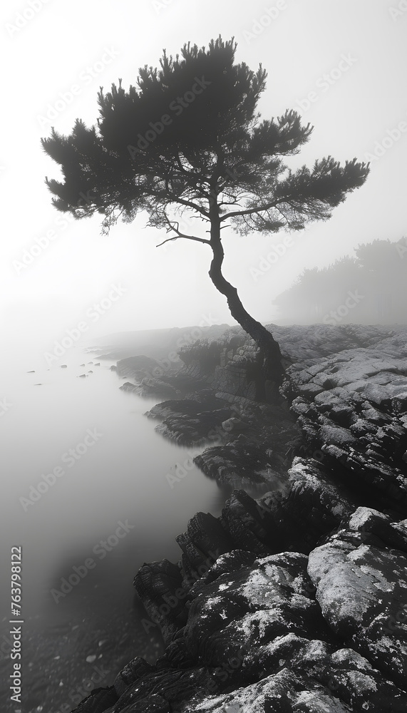 Fototapeta premium Minimalist background