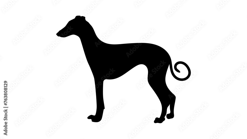 short haired Sighthound, black isolated silhouette