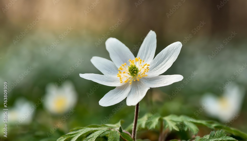 Generated image of spring flower