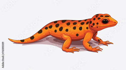 The red-spotted newt Notophthalmus viridescens. Amph