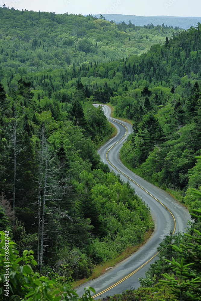 A_photo_of_a_long_and_winding_road_going_through_a