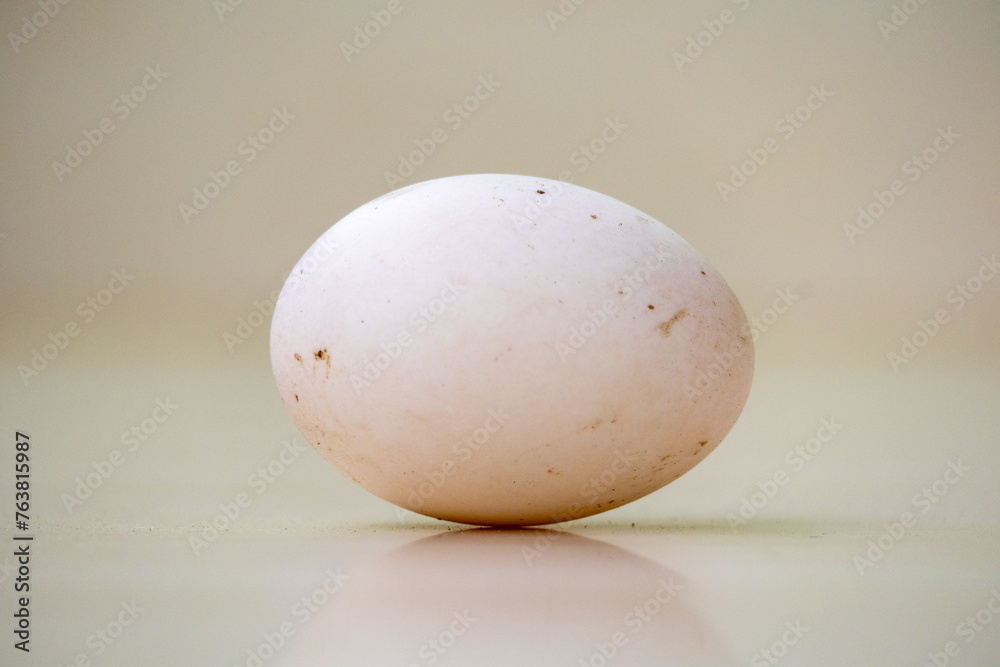 Raw duck egg on a blurred background Raw duck egg on a blurred background
