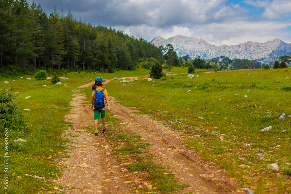 boy with a backpack walks through a mountain meadow during the summer holidays. trekking and hiking.