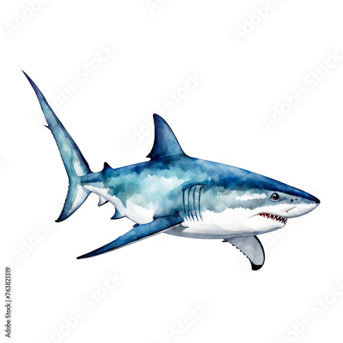 Shark watercolor painting  blue shark  marine animal  vector illustration  clipart  animal  clipart  dive  water splash  aquarium  dangerous animal  cutout on white background