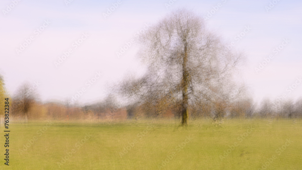 Fototapeta premium Tree Multiple exposures