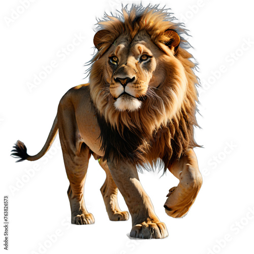 lion isolated transparent background PNG. ai generated