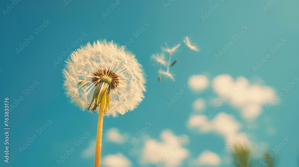 Fototapeta premium Dandelion flower in the sky,Generative ai ,