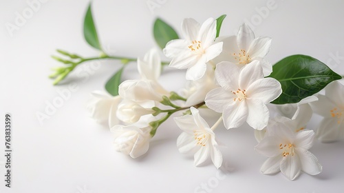 Jasmine flowers on white.,Generative ai , Generative, ai