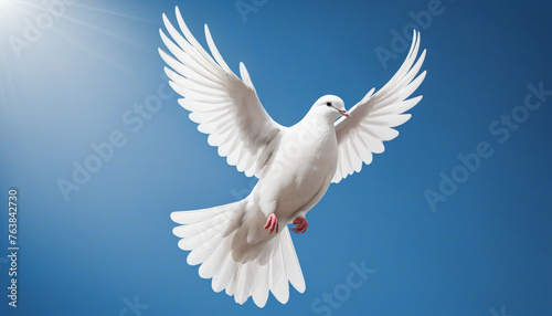 White dove of peace on a blue background  copy space  international day of peace concept colorful background