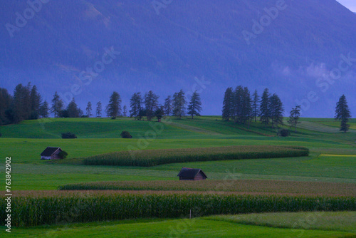 Bavaria, Germany, idyllic landscape, fresh green meadows...