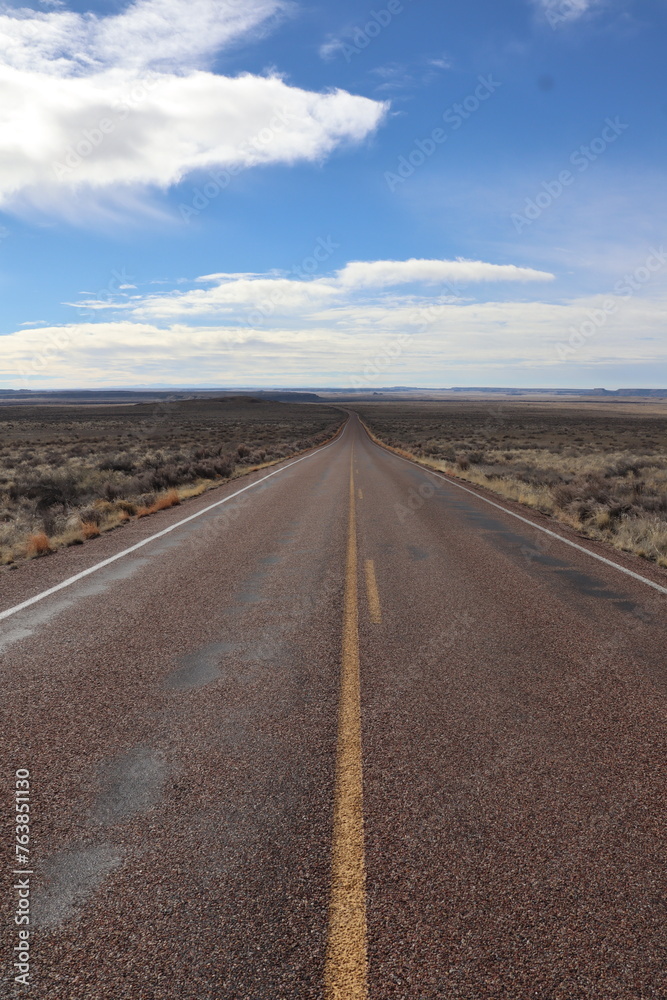 Petrified Forest National Park, Arizona Petrified Forest National Park, Arizona