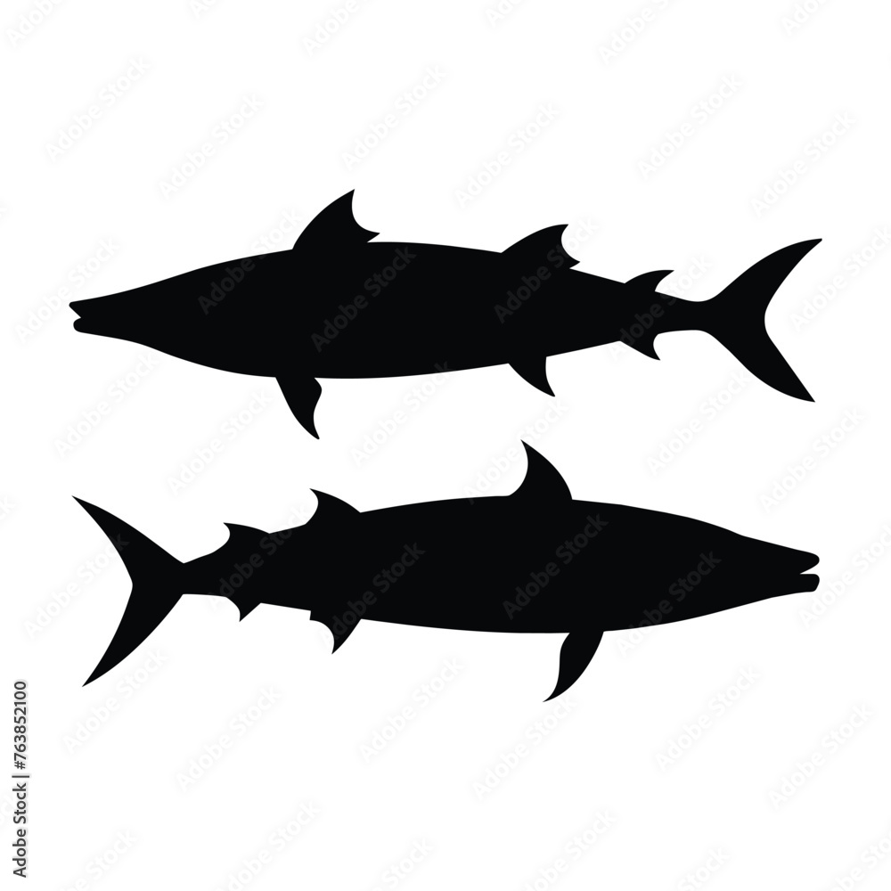 silhouette of wahoo fish on white silhouette of wahoo fish on white