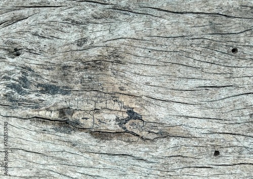 Closeup shot of a grayish wood surface with cracks and lines © Wirestock