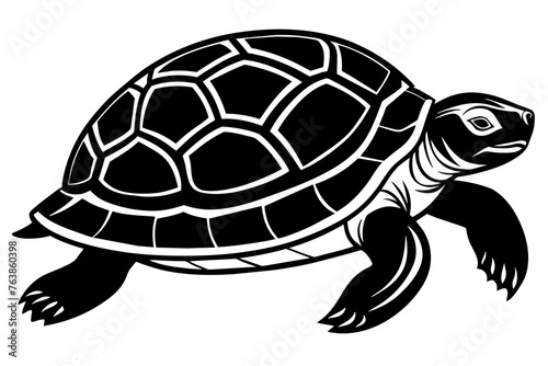 the turtle silhouette vector and illustration