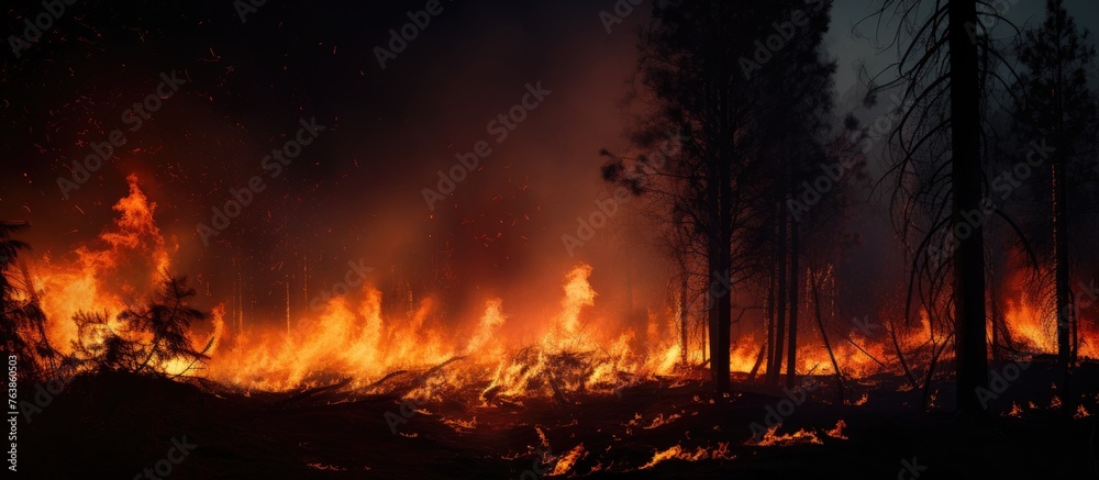 A fire raging amid trees in the woods