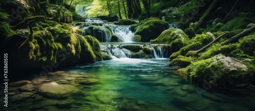 A river flowing amid lush greenery with scattered rocks