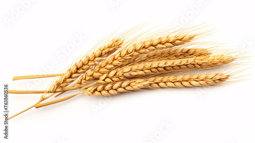 Ears of wheat isolated on white background.