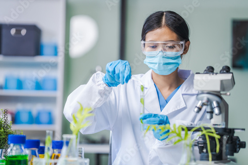 Female science biology laboratory worker using pipette, test tubes, microscope in sustainability plants research to experiment with the development of anti-aging medicine and vitamins