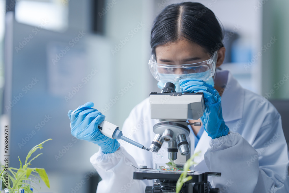 Female science biology laboratory worker using pipette, test tubes, microscope in sustainability plants research to experiment with the development of anti-aging medicine and vitamins Female science biology laboratory worker using pipette, test tubes, microscope in sustainability plants research to experiment with the development of anti-aging medicine and vitamins