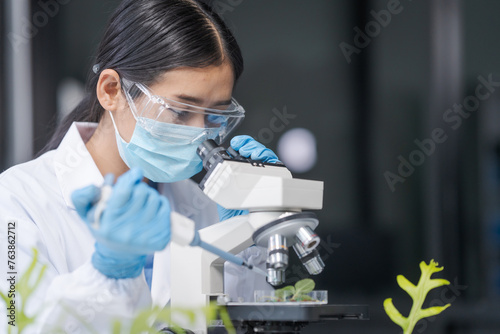 Female science biology laboratory worker using pipette, test tubes, microscope in sustainability plants research to experiment with the development of anti-aging medicine and vitamins