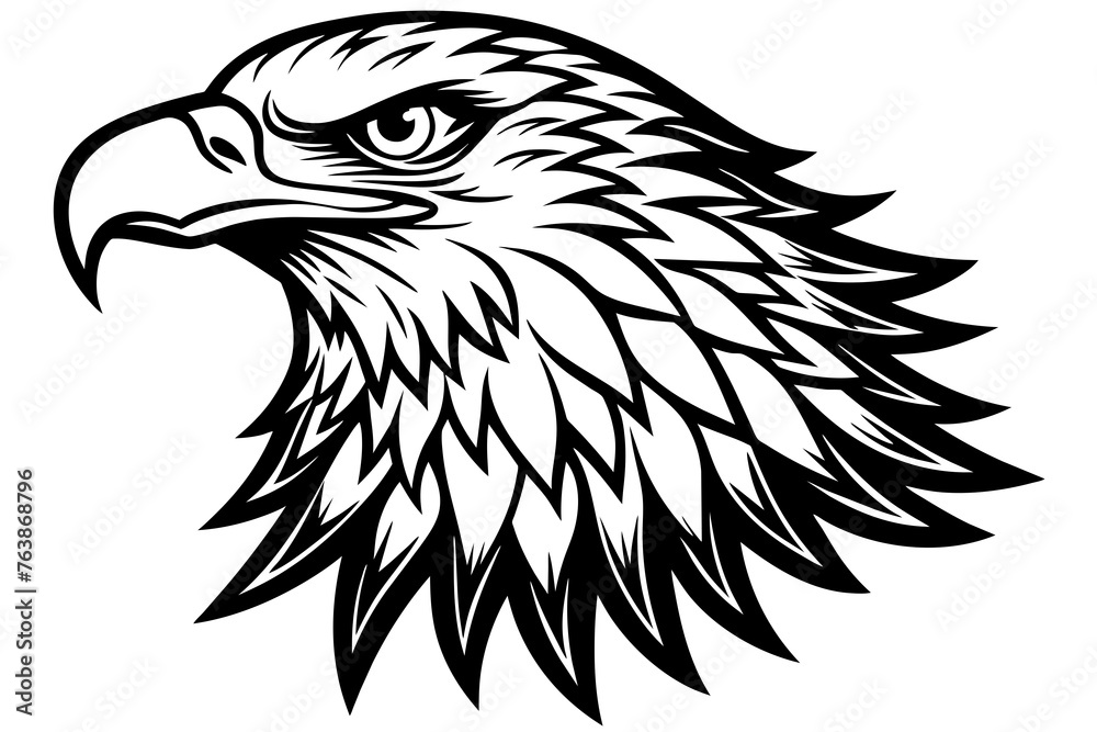 Eagle  silhouette  vector and illustration