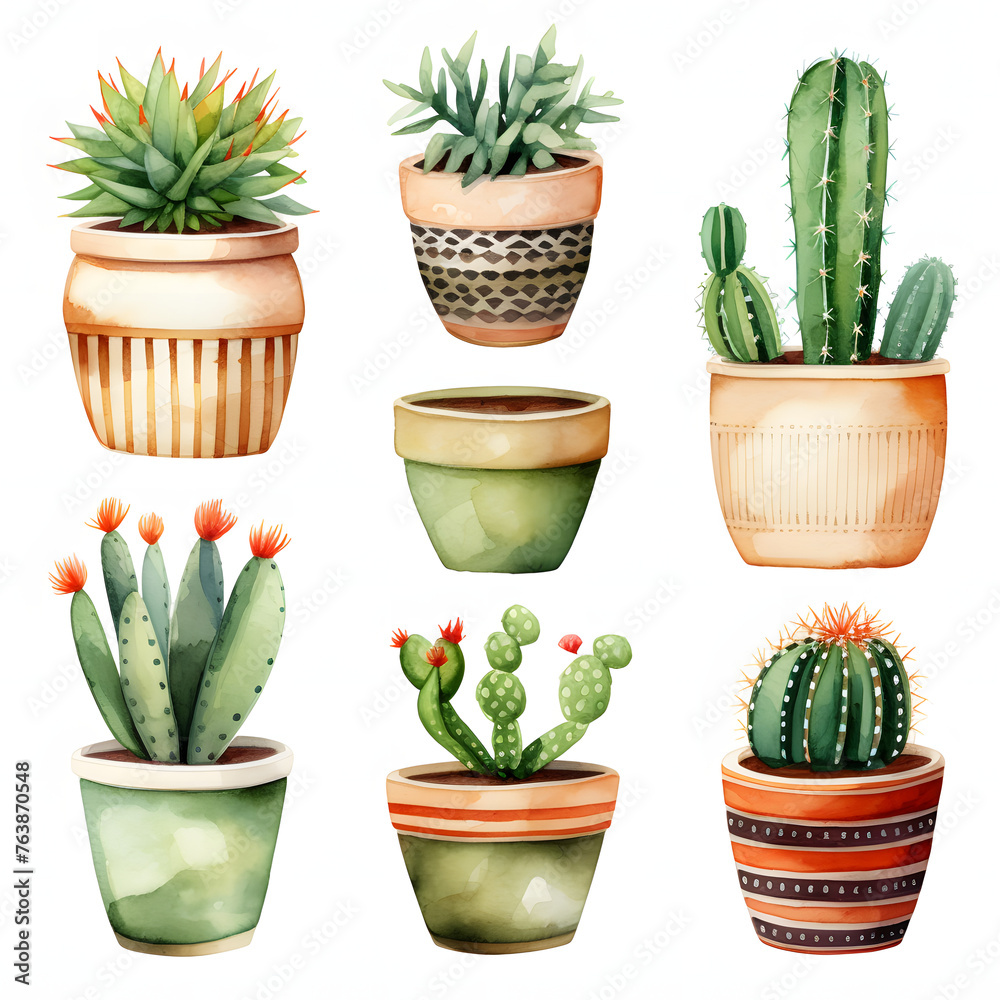 set of cactus plants set of cactus plants