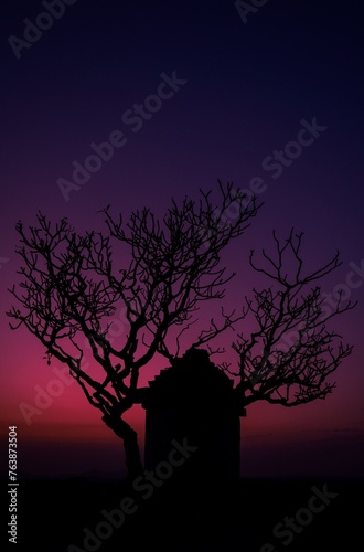 Tree under a purple sky