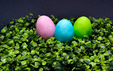 Green blue and pink Easter Eggs on the grass