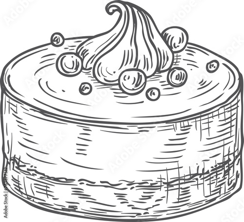 Cheesecake sketch. Hand drawn sweet berry dessrt