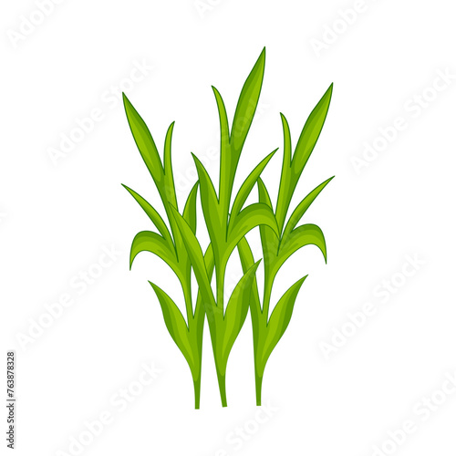 Illustration of grass 