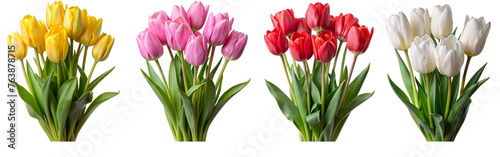 Yellow, pink, red and white tulip flowers set isolated.