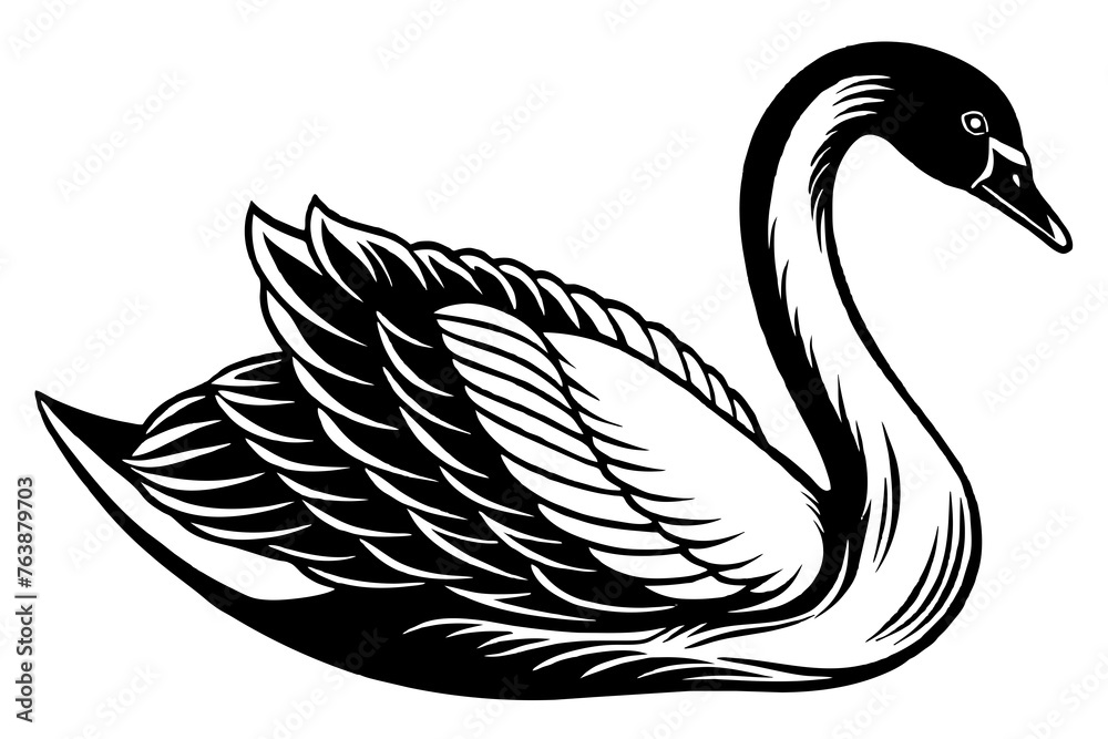 Obraz premium swan silhouette vector and illustration