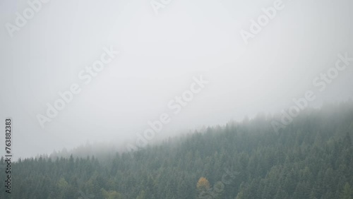 Rain clouds moving against the background of mountains covered with trees. 

